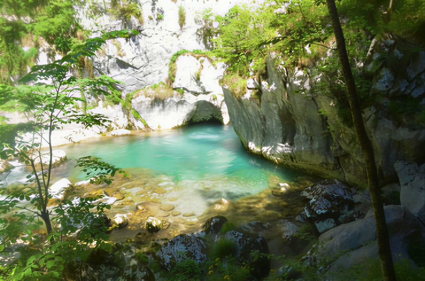 Mrtvica Canyon Hiking Private Tour