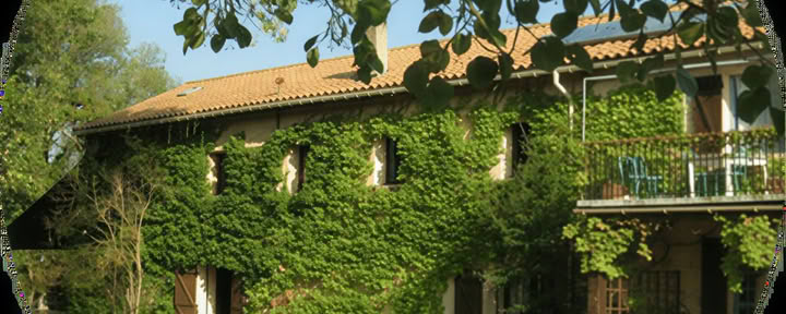 South of France Workshops