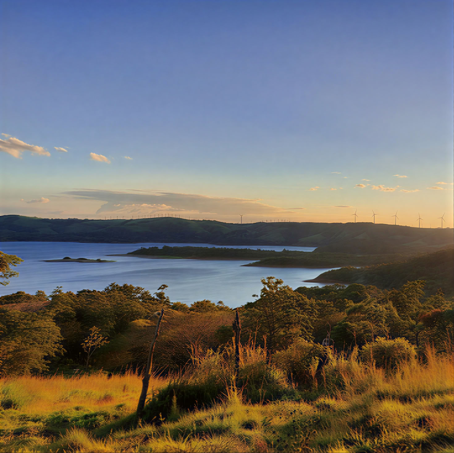 Costa Rica Intensives – May 3-10 (7 days)