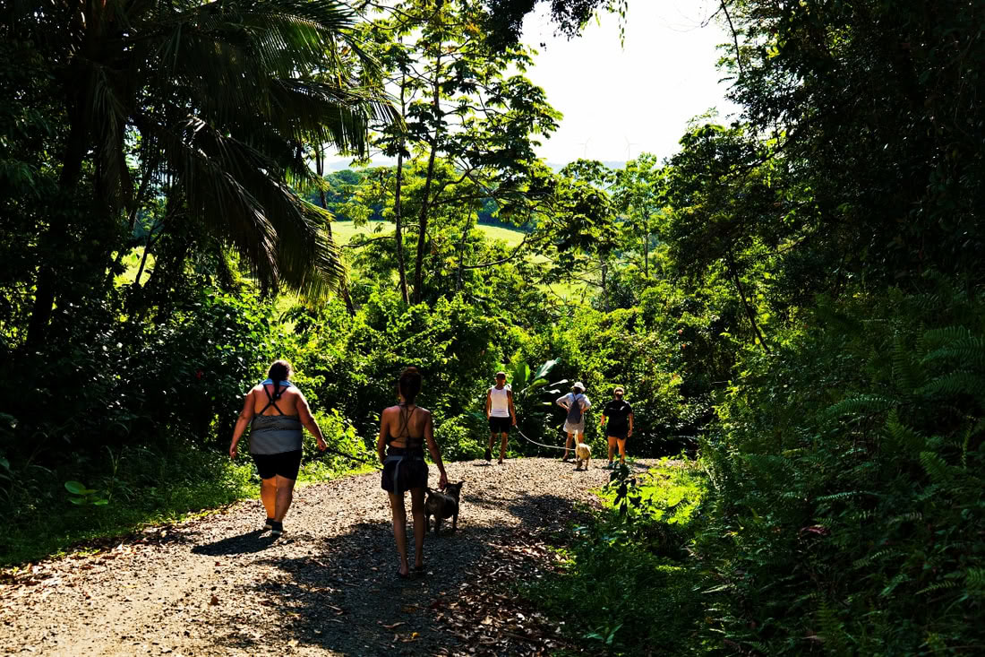 Costa Rica Intensives – May 3-10 (7 days)