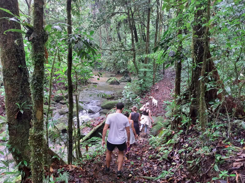 Costa Rica Intensives – May 3-10 (7 days)