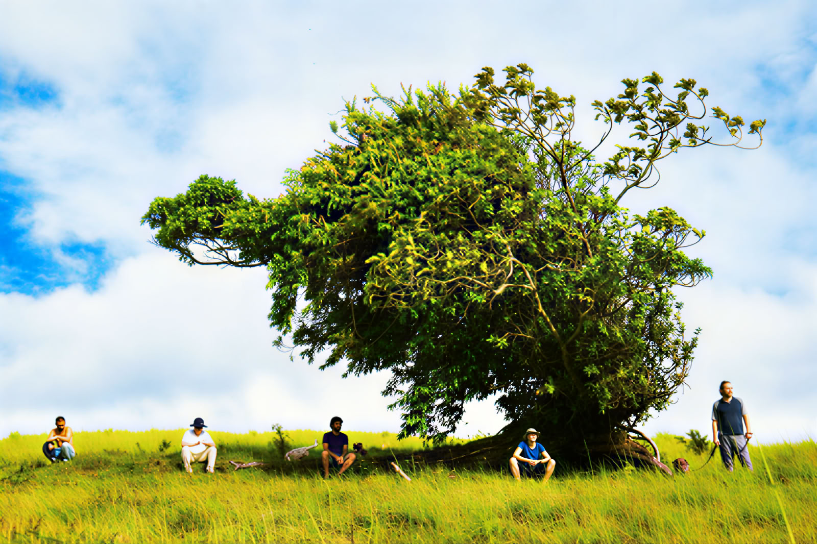 Costa Rica Intensives – May 3-10 (7 days)