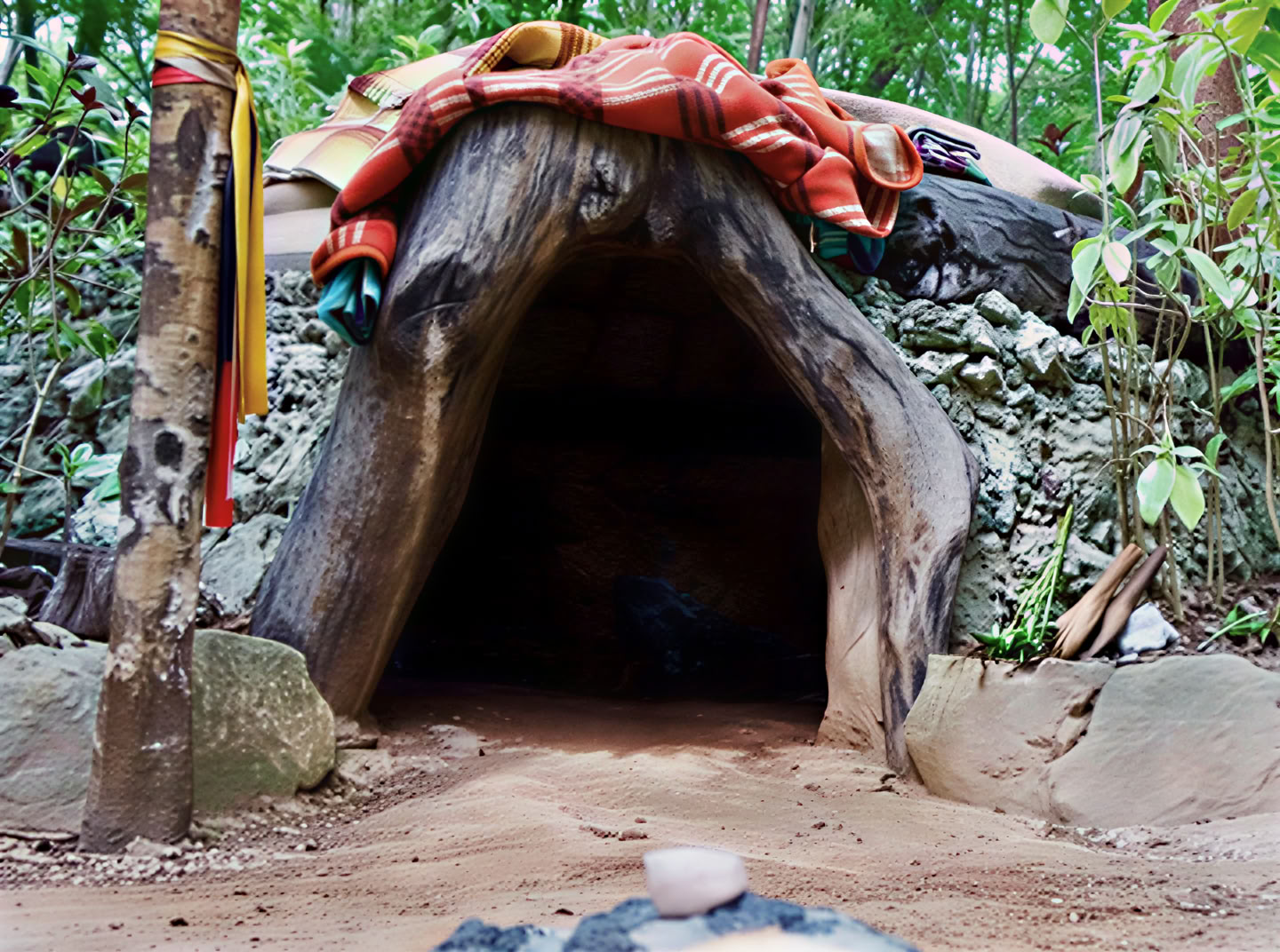 Ayahuasca Retreat, Mexico