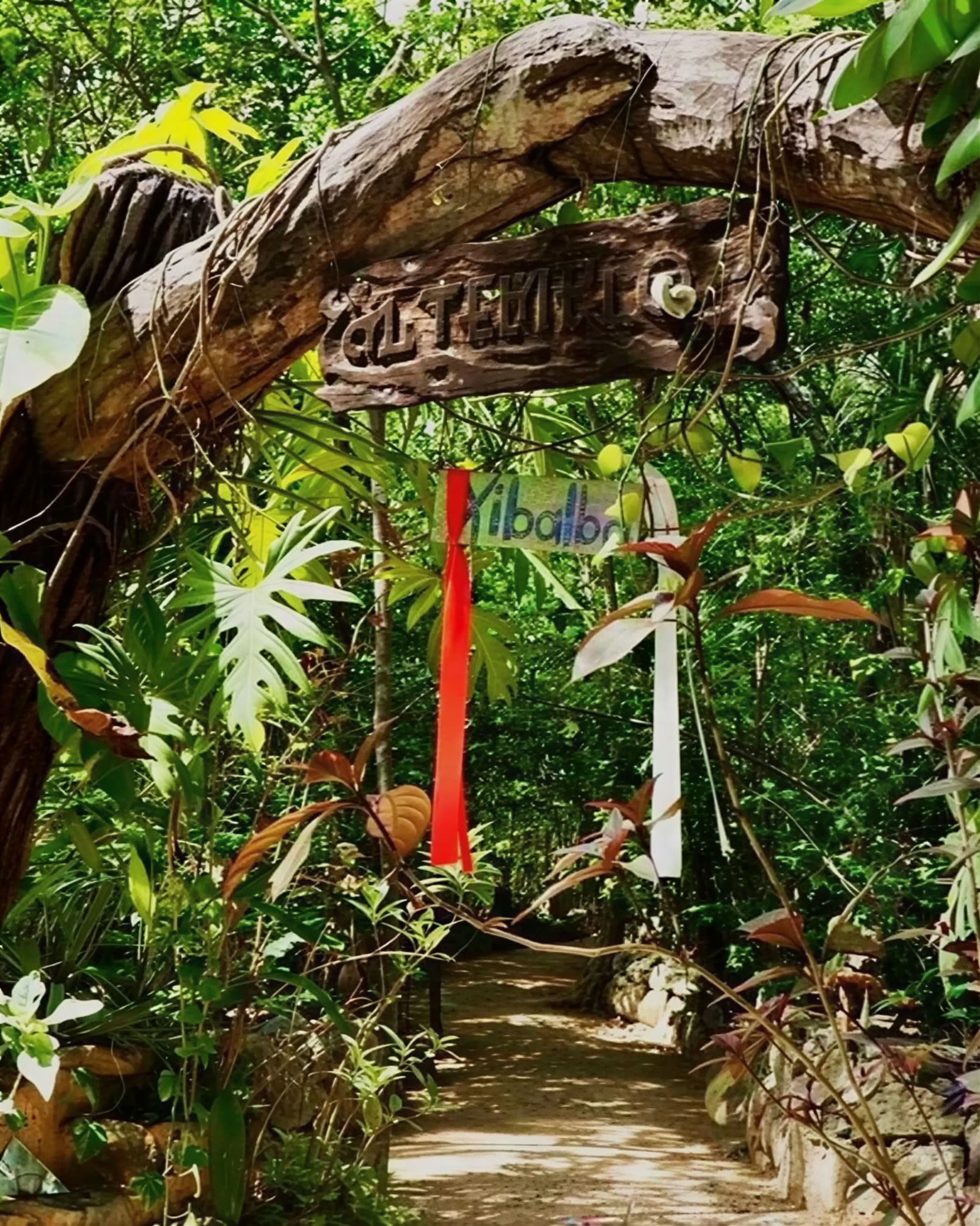 Ayahuasca Retreat, Mexico