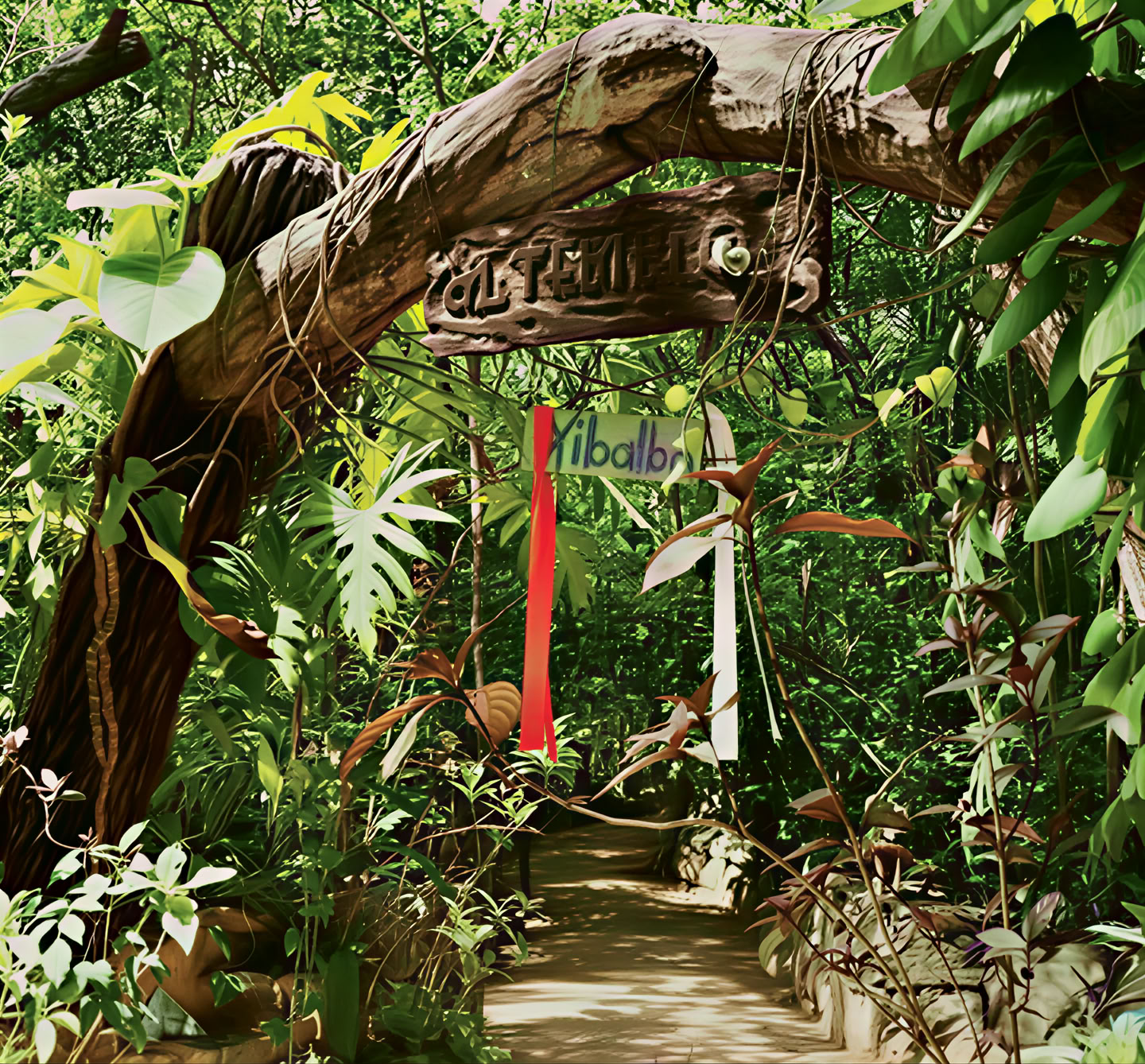Ayahuasca Retreat, Mexico