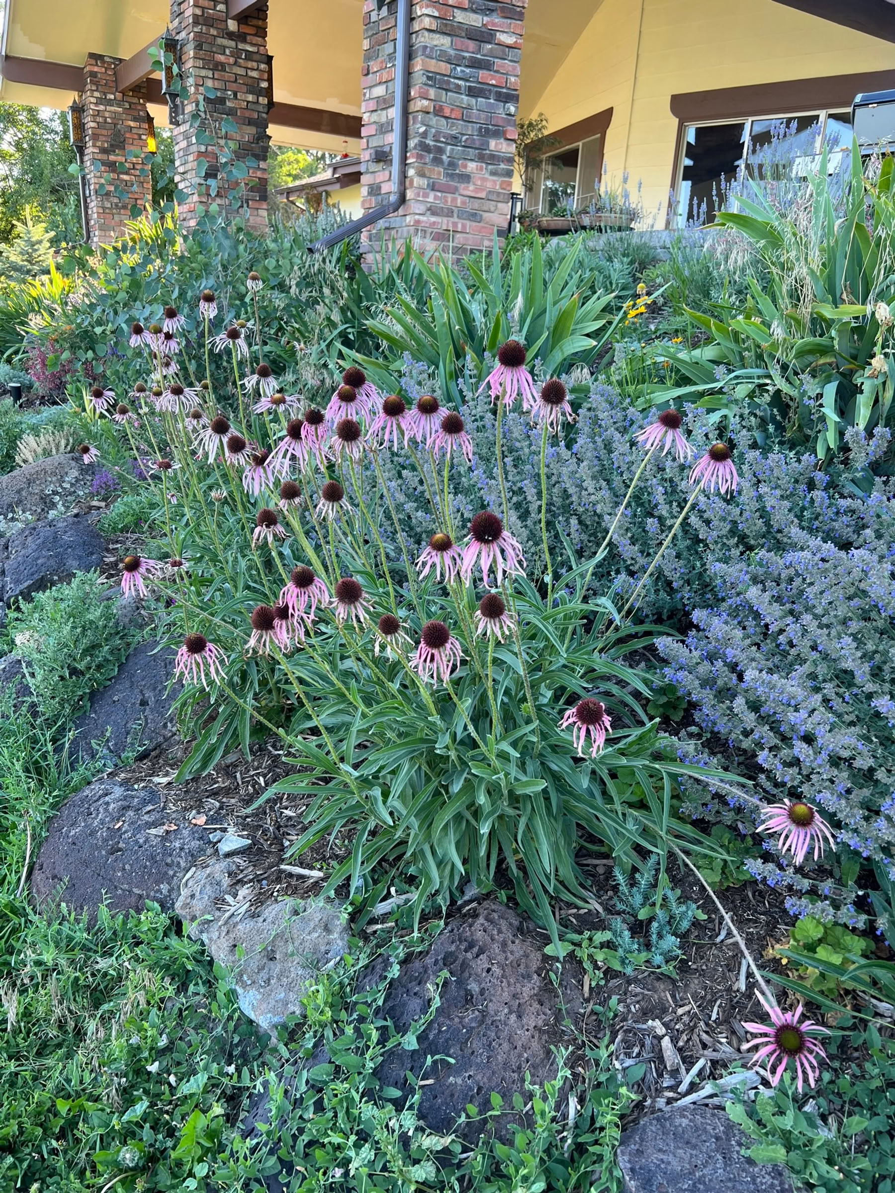 Colorado Breathwork Retreat