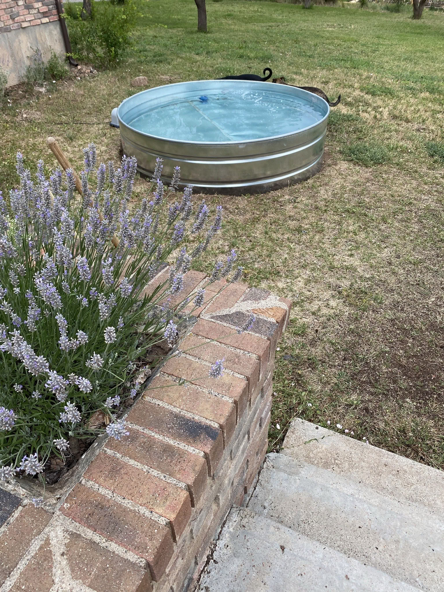 Colorado Breathwork Retreat