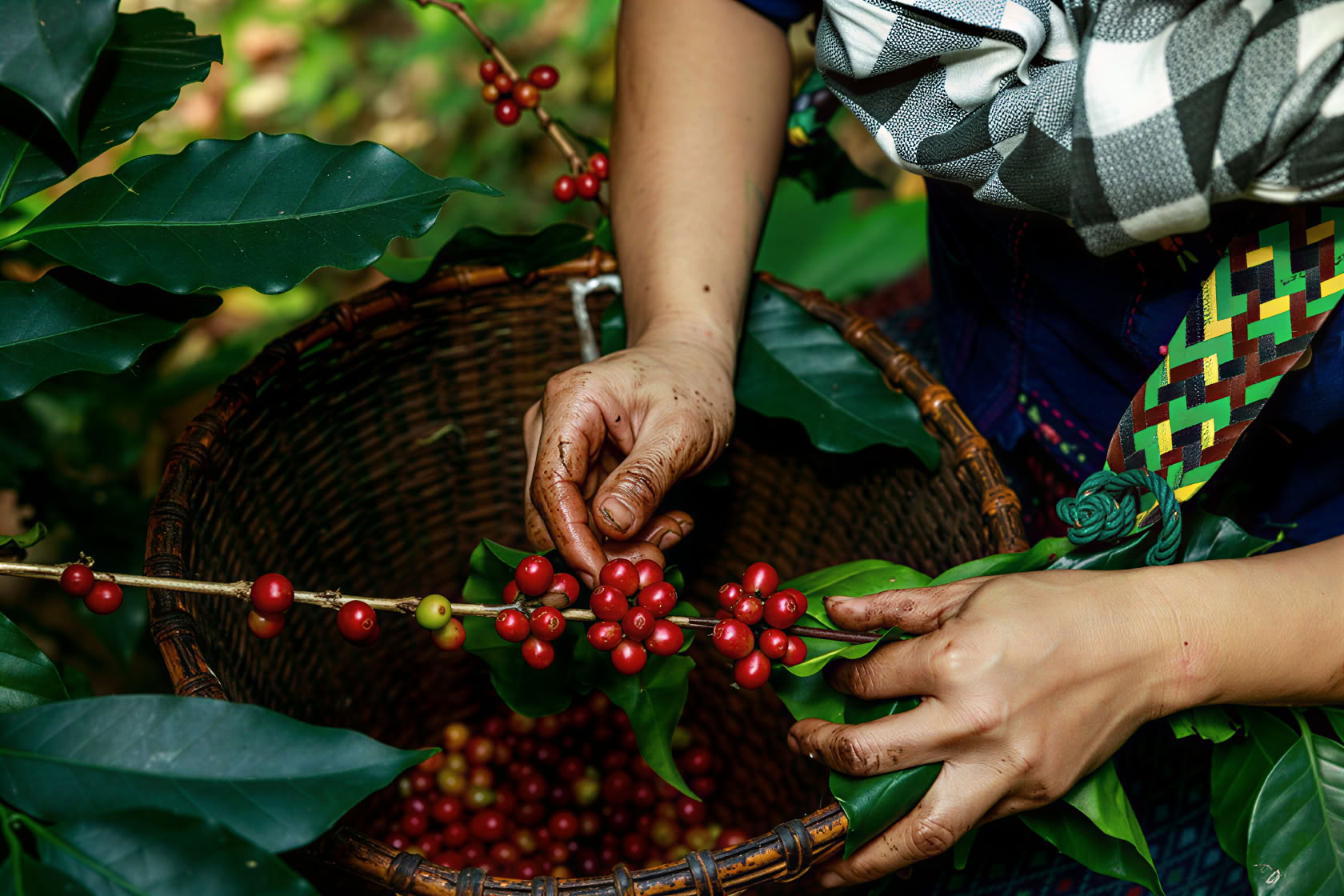 Building deforestation- and conversion-free supply chains under the EUDR