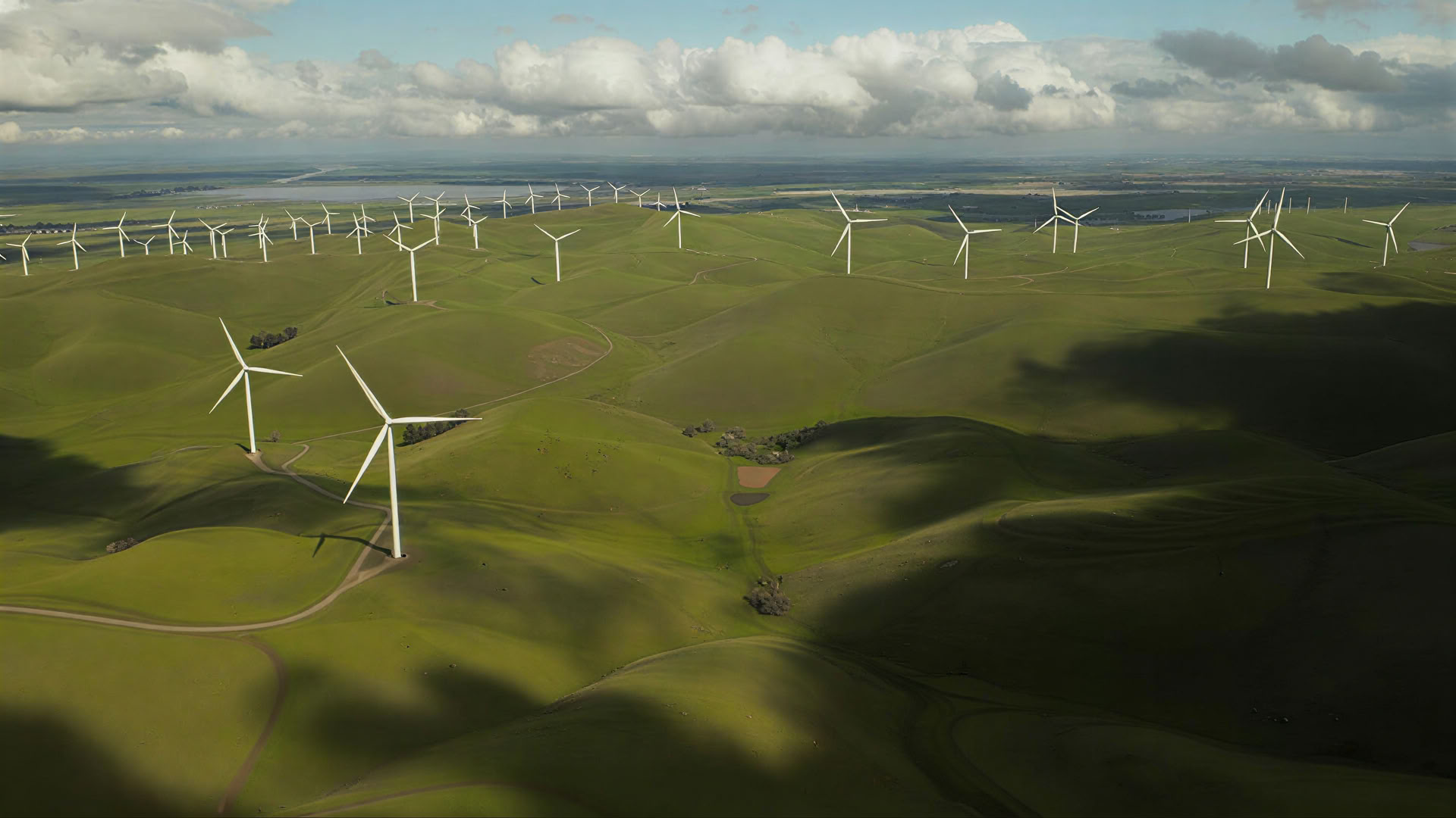 Nature-based Solutions: Ecosystem Restoration and Carbon Projects Training Course
