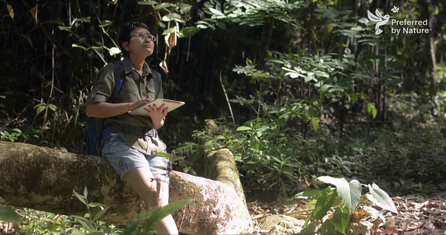 Nature-based Solutions: Ecosystem Restoration and Carbon Projects Training Course