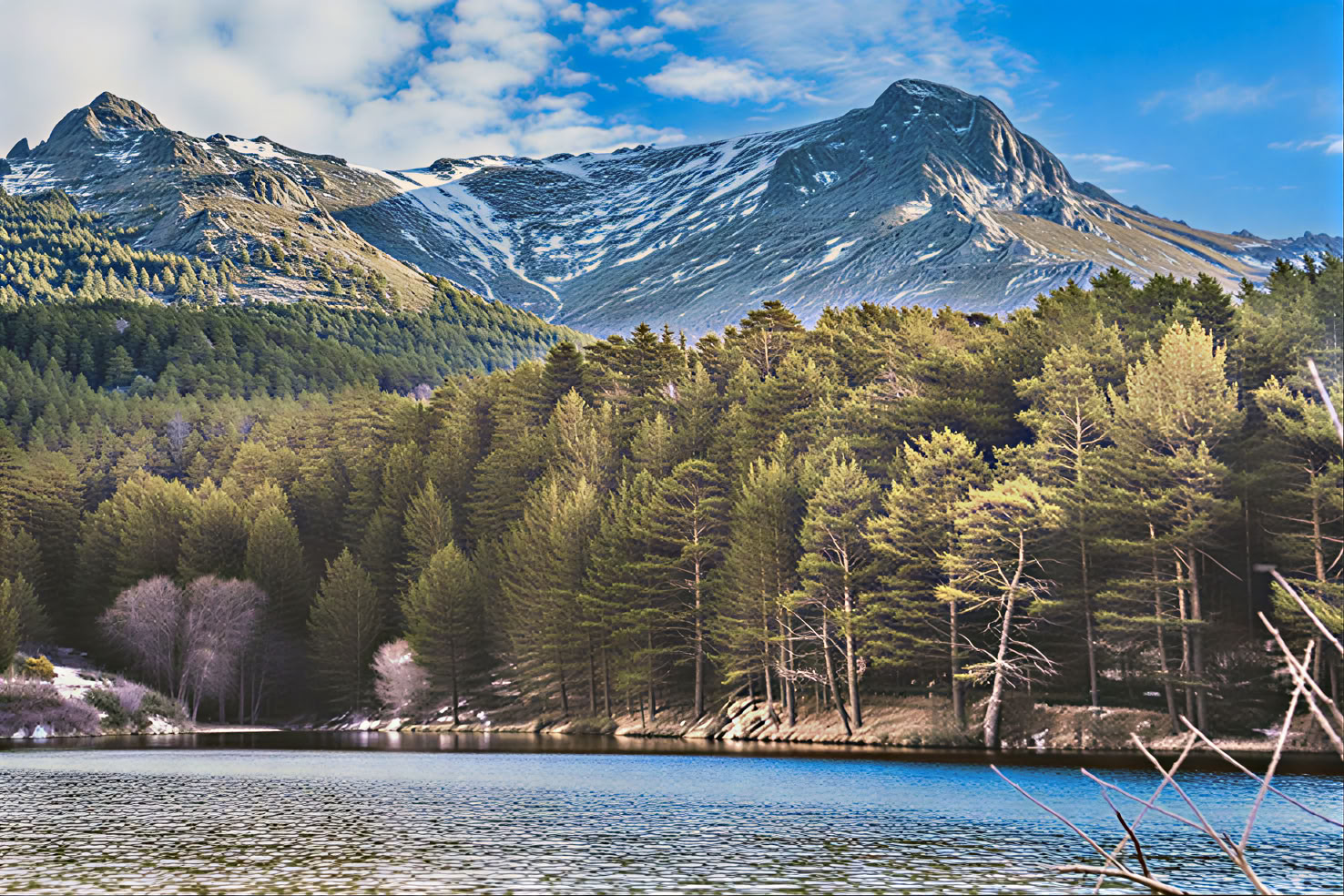 Nature-based Solutions: Ecosystem Restoration and Carbon Projects Training Course