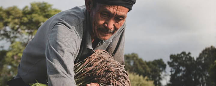 Deforestation-free supply chains and EUDR implementation – Berlin seminar