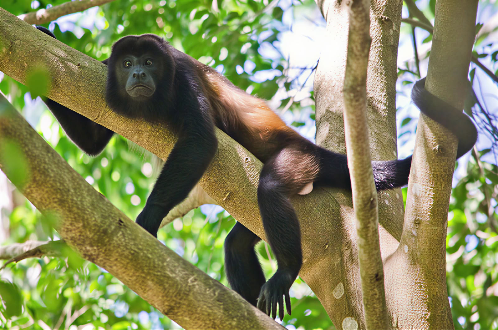 Manuel Antonio Day Trip (A San Jose Day Trip)