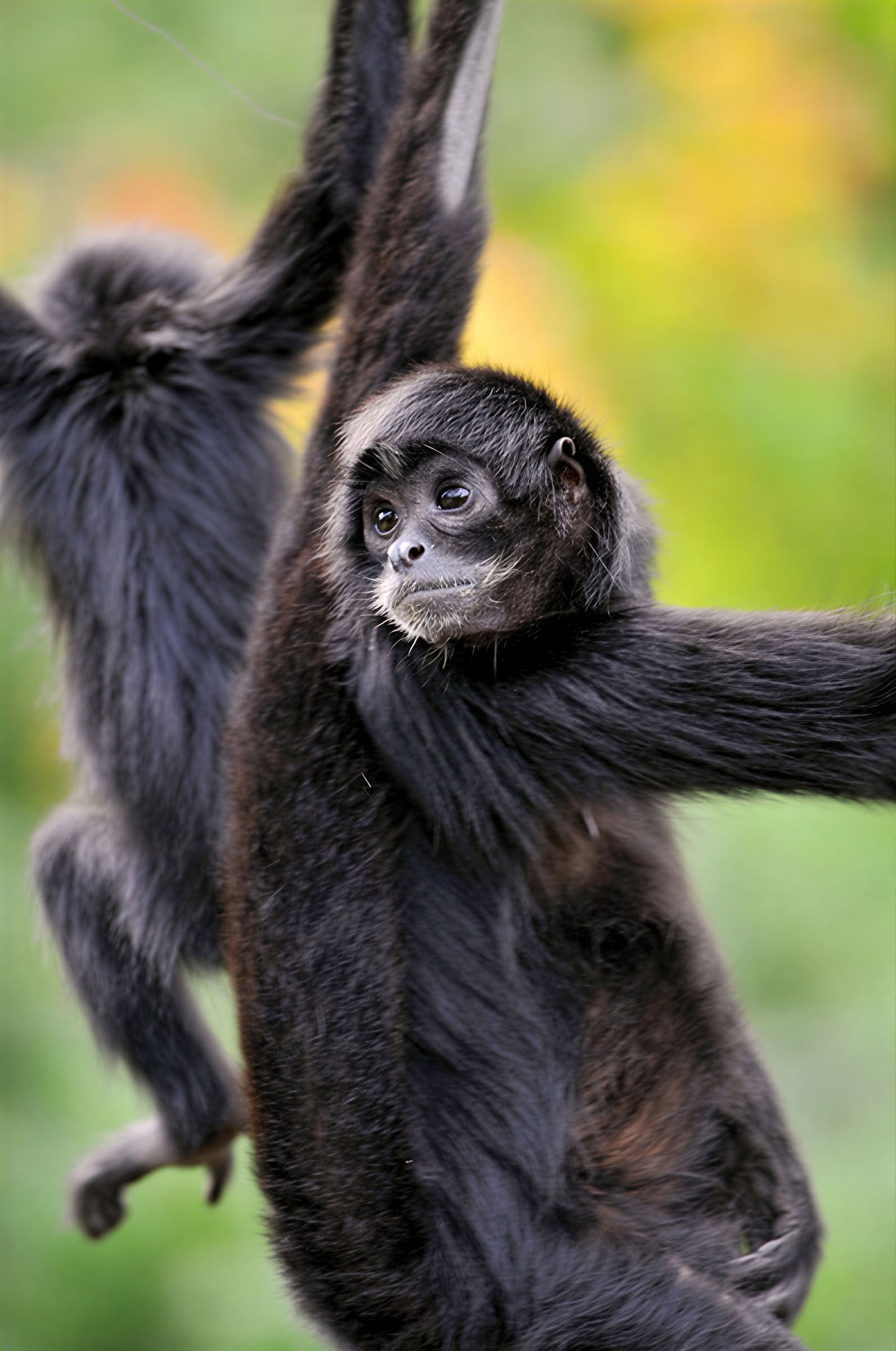 Manuel Antonio Day Trip (A San Jose Day Trip)