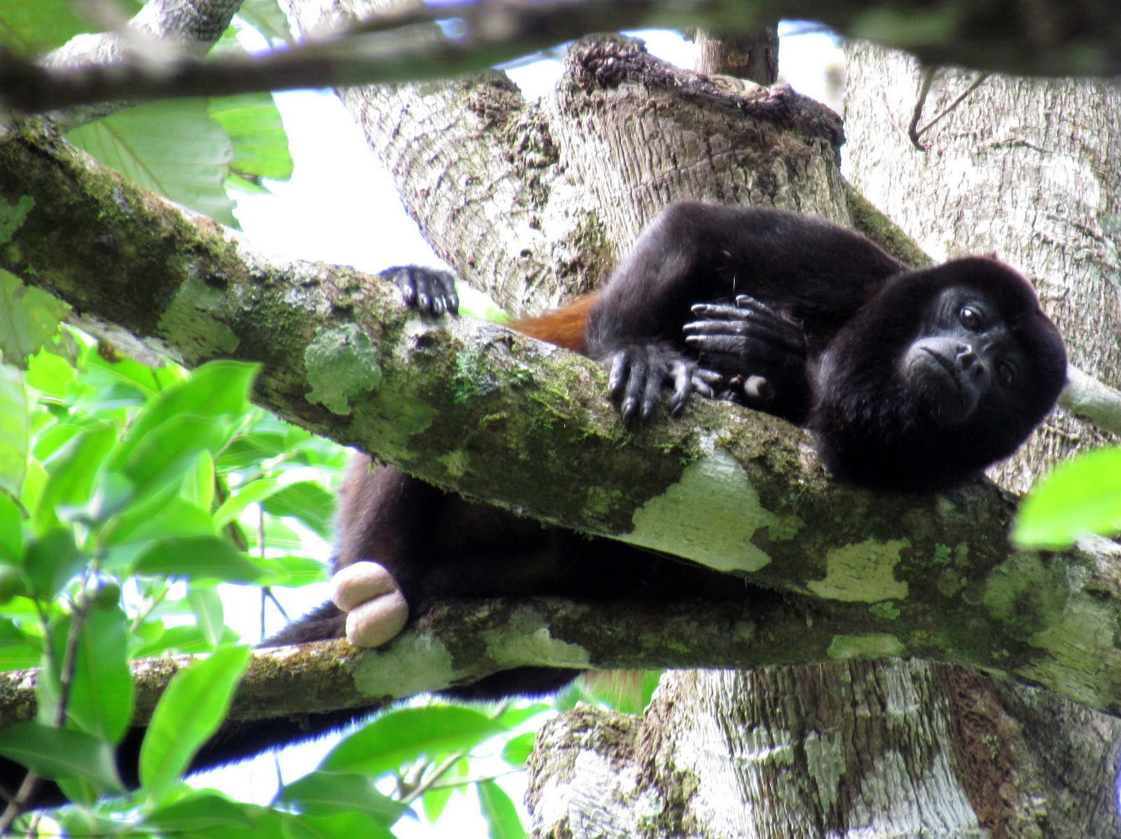 Manuel Antonio Day Trip (A San Jose Day Trip)