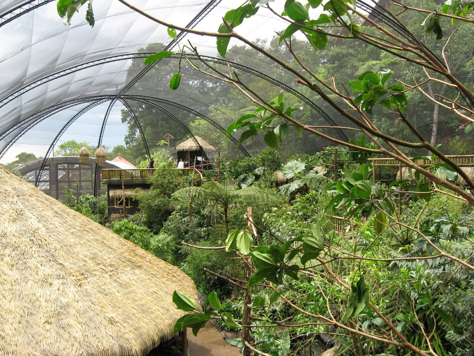 Combo Tour: Poas Volcano National Park – Doka Coffee Tour – La Paz Waterfall Gardens