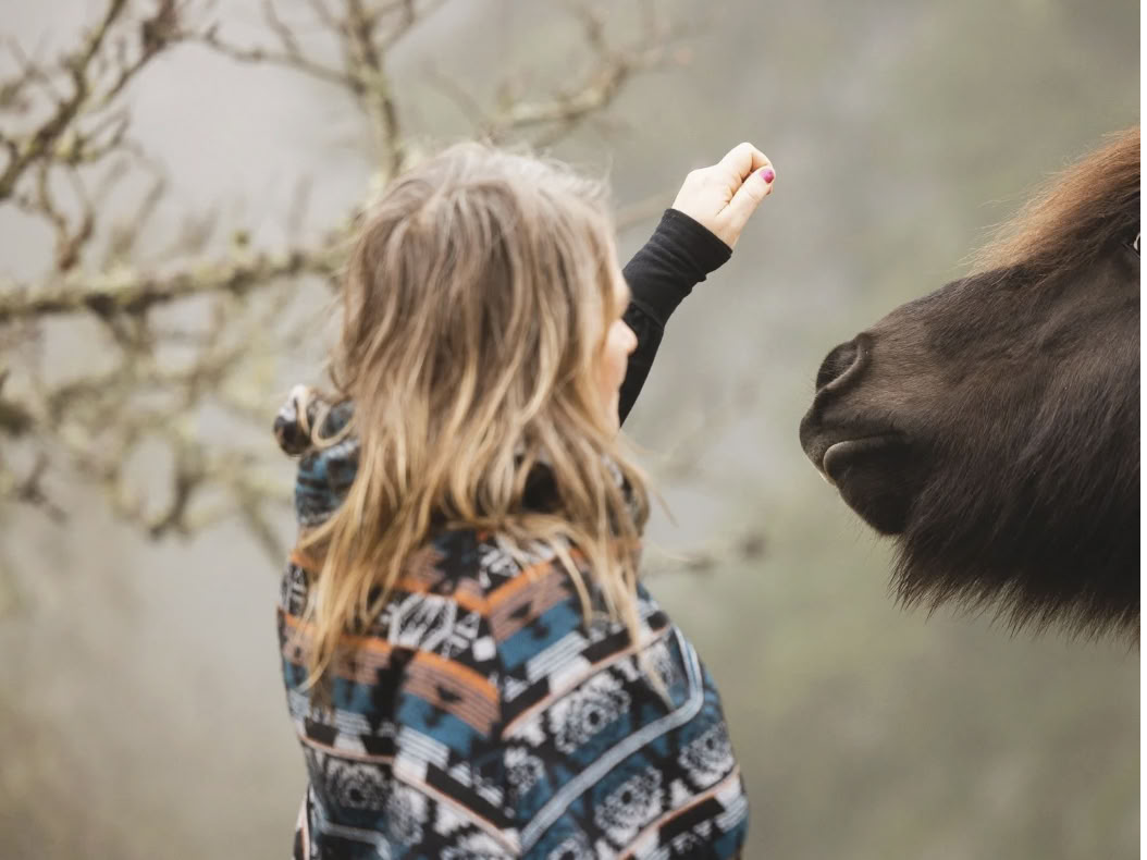 Flowers, Yoga, Horses - Summer Retreat 2026
