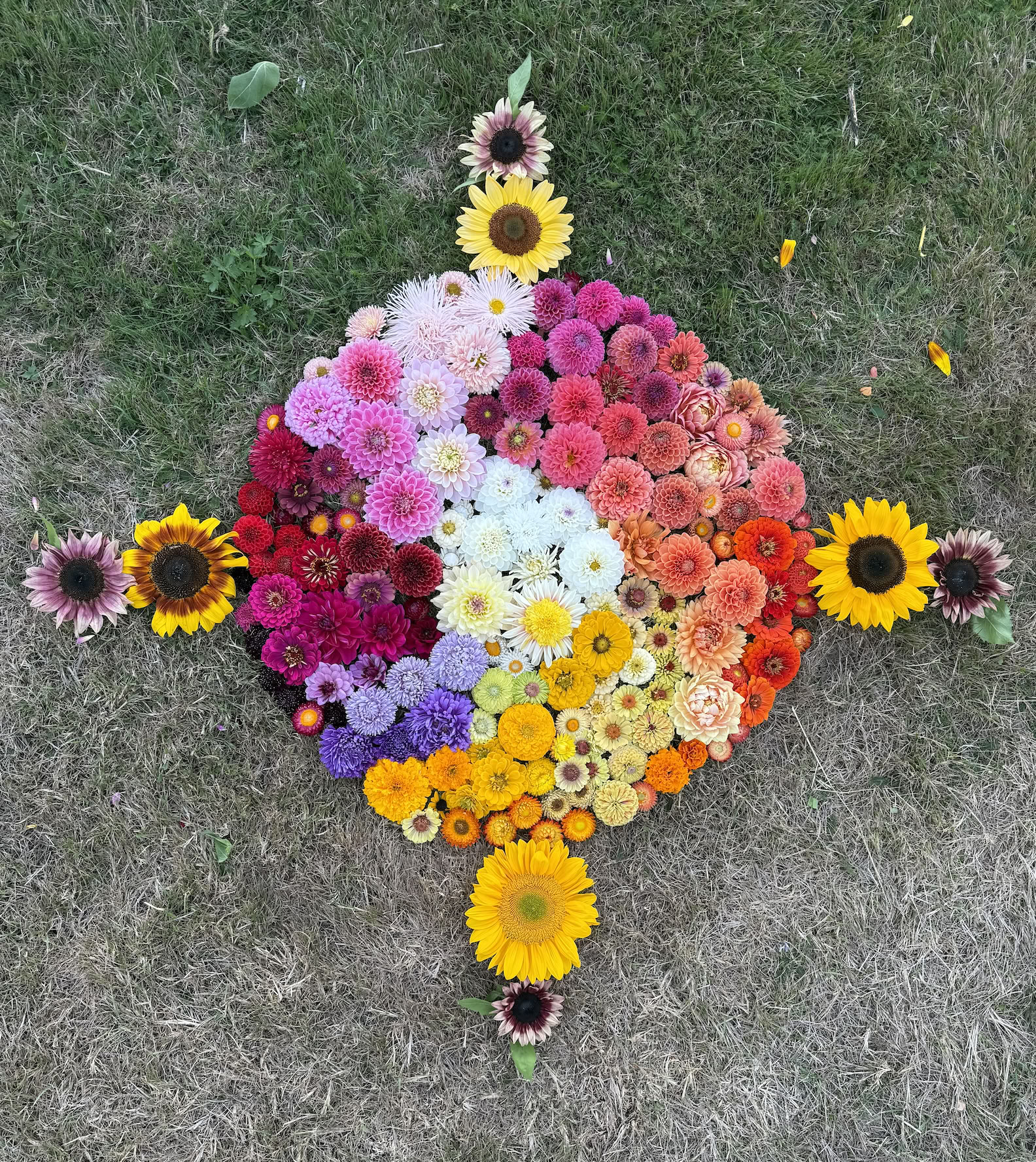 Flowers, Yoga, Horses - Summer Retreat 2026
