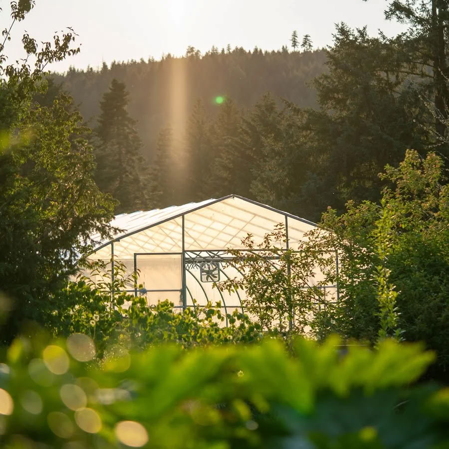 Feldenkrais Practitioner Advanced Training & Retreat — Stowel Lake Farm