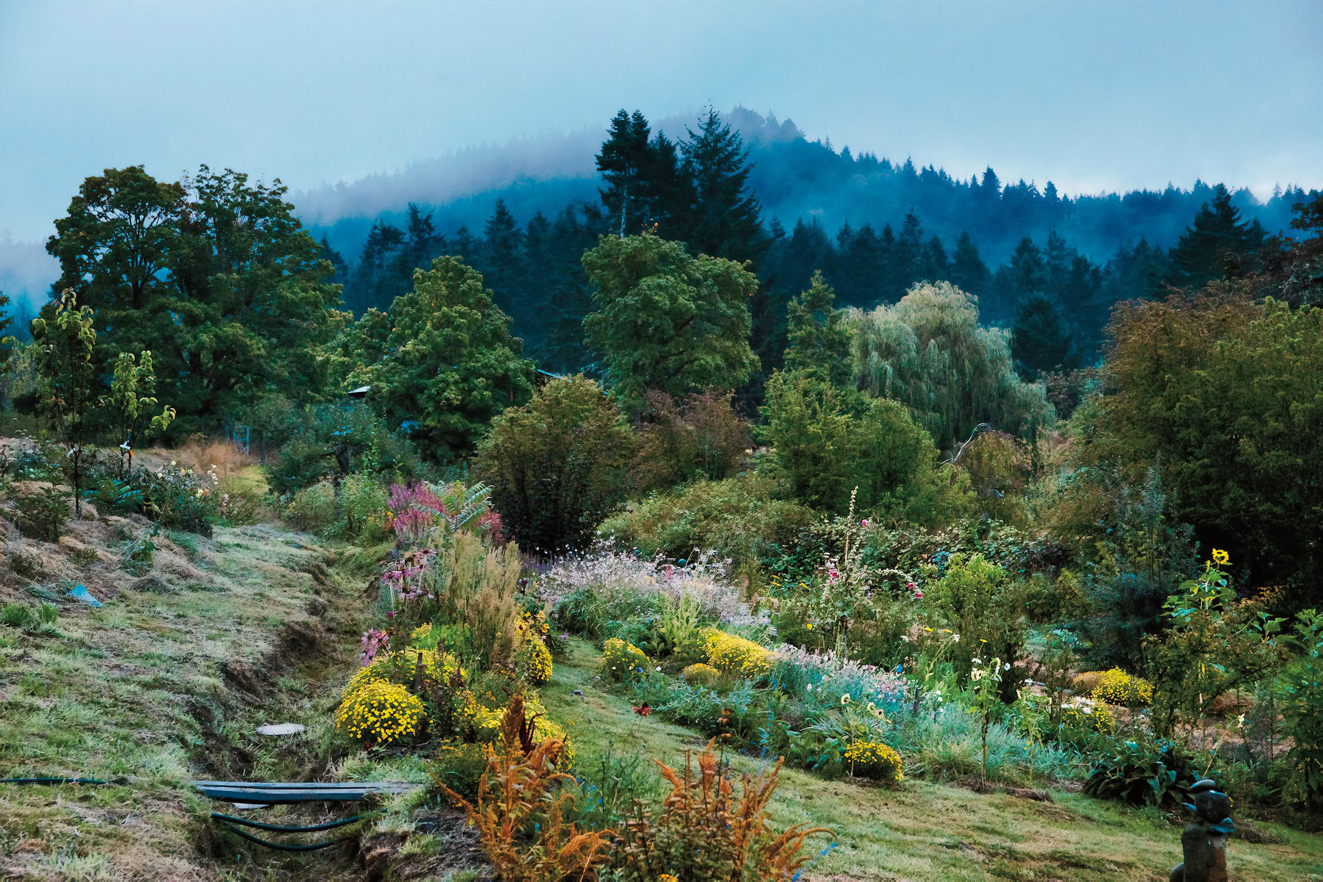 Wolf Willow Cascadia Retreat — Stowel Lake Farm