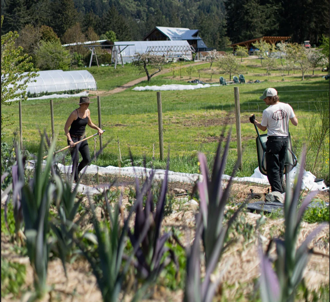 Preparing The Garden For Next Season — Stowel Lake Farm