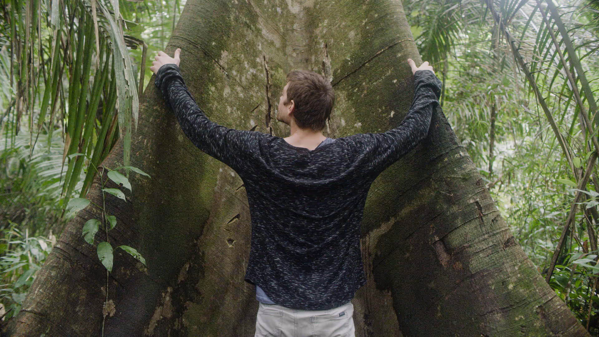 14 Day Ayahuasca Retreat
