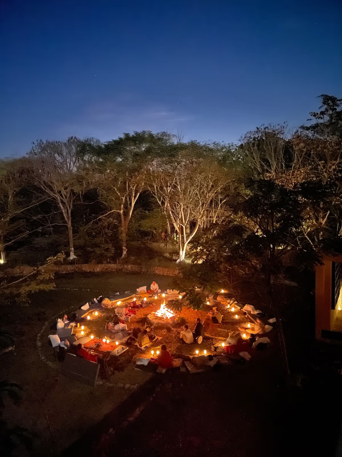 4 Day Bufo & Psilocybin Mushroom Retreat