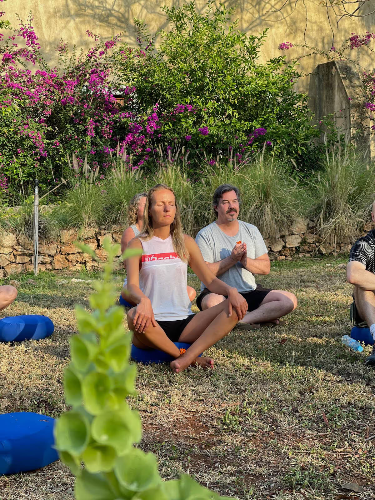 4 Day Bufo & Psilocybin Mushroom Retreat