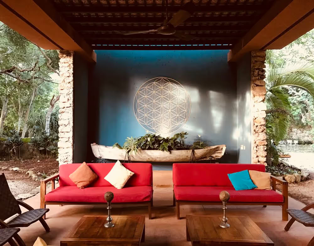 4 Day Bufo & Psilocybin Mushroom Retreat