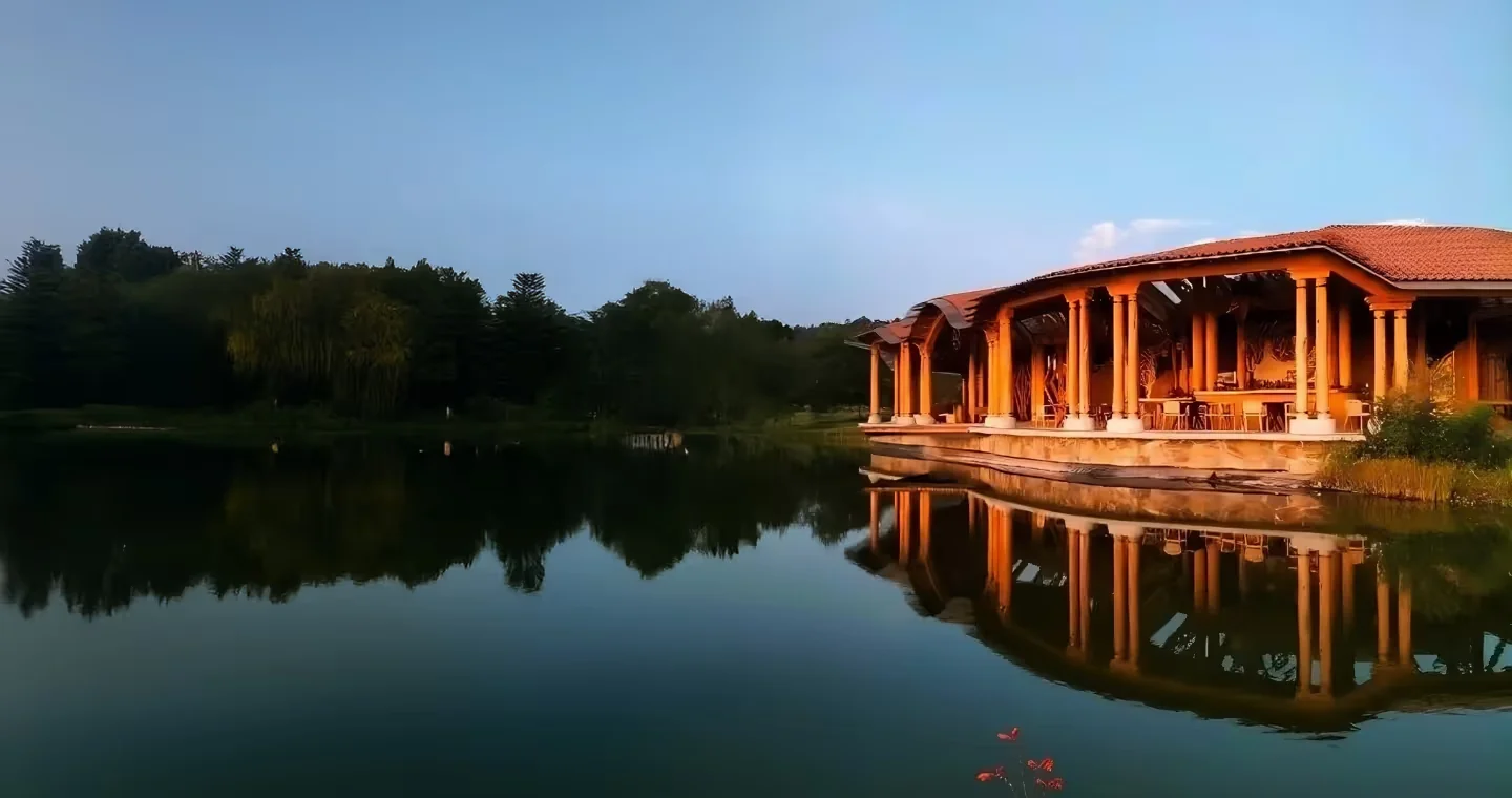 4 Day Bufo & Psilocybin Mushroom Retreat