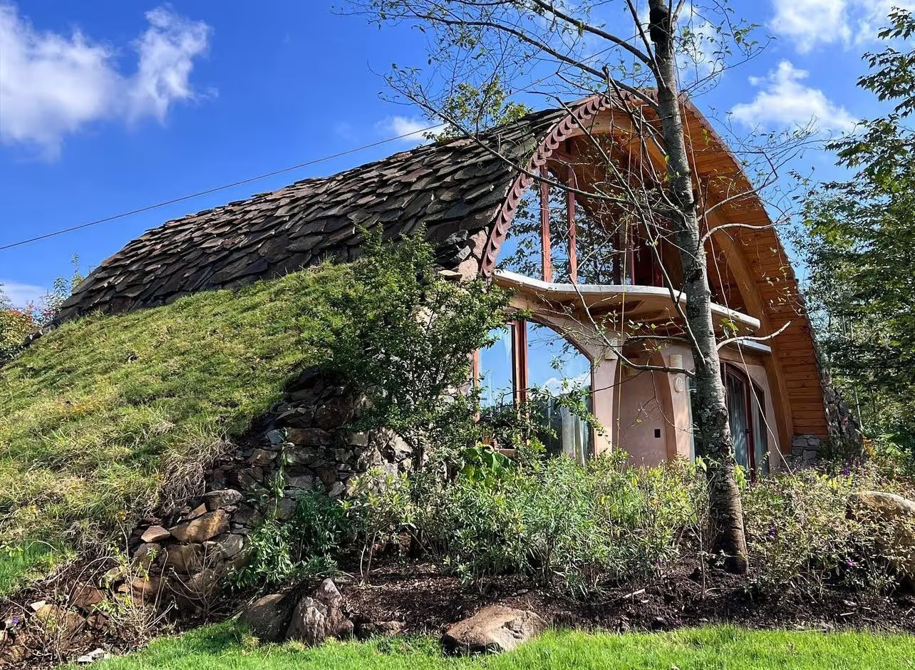 4 Day Bufo & Psilocybin Mushroom Retreat