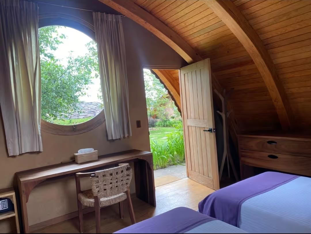4 Day Bufo & Psilocybin Mushroom Retreat