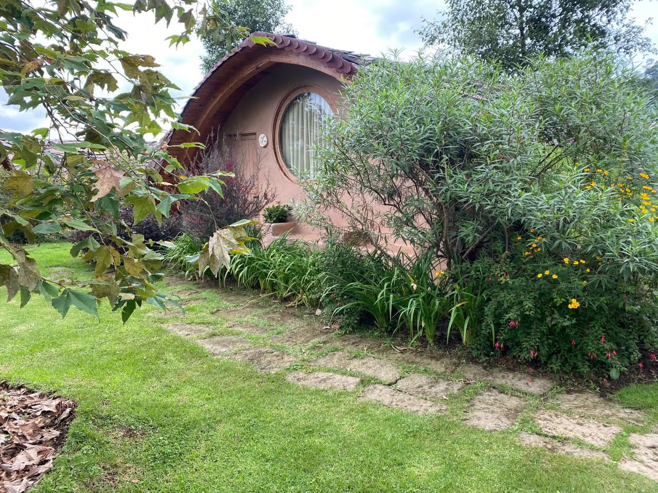 4 Day Bufo & Psilocybin Mushroom Retreat