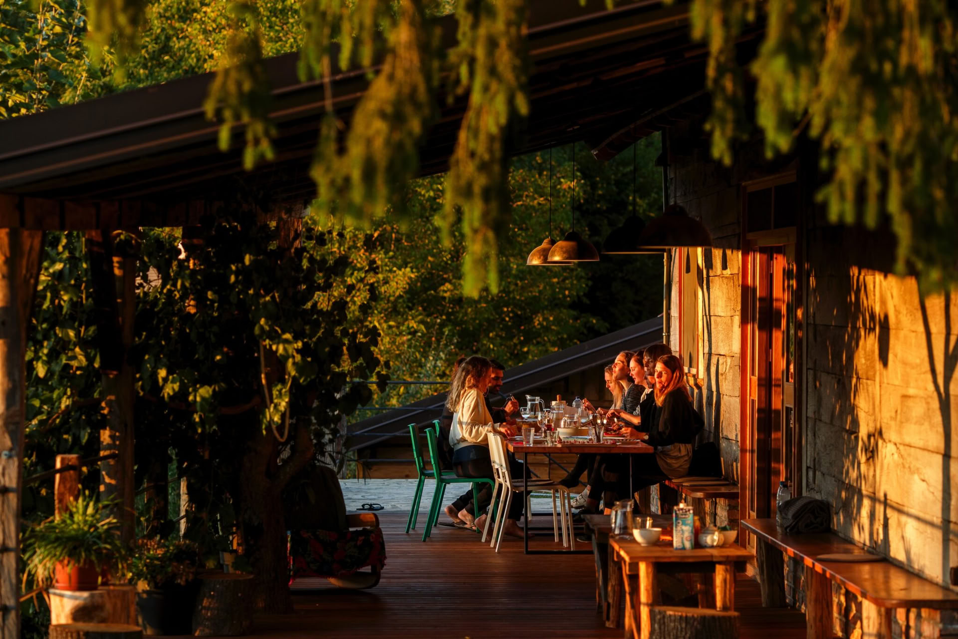 Forest Escape Yoga Retreat Croatia