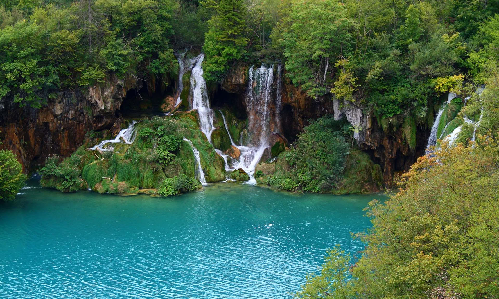 Forest Escape Yoga Retreat Croatia