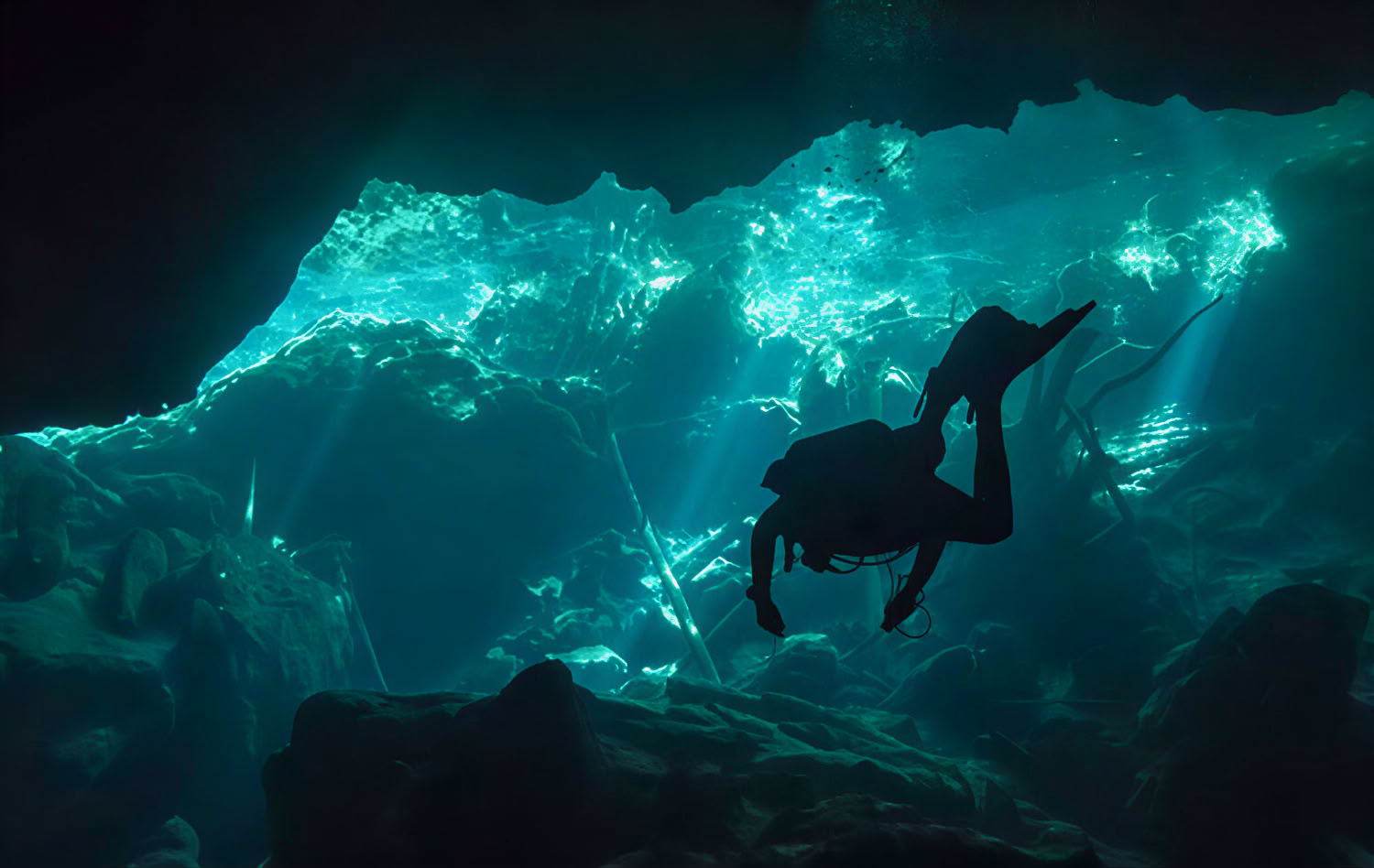 Specialty Diver