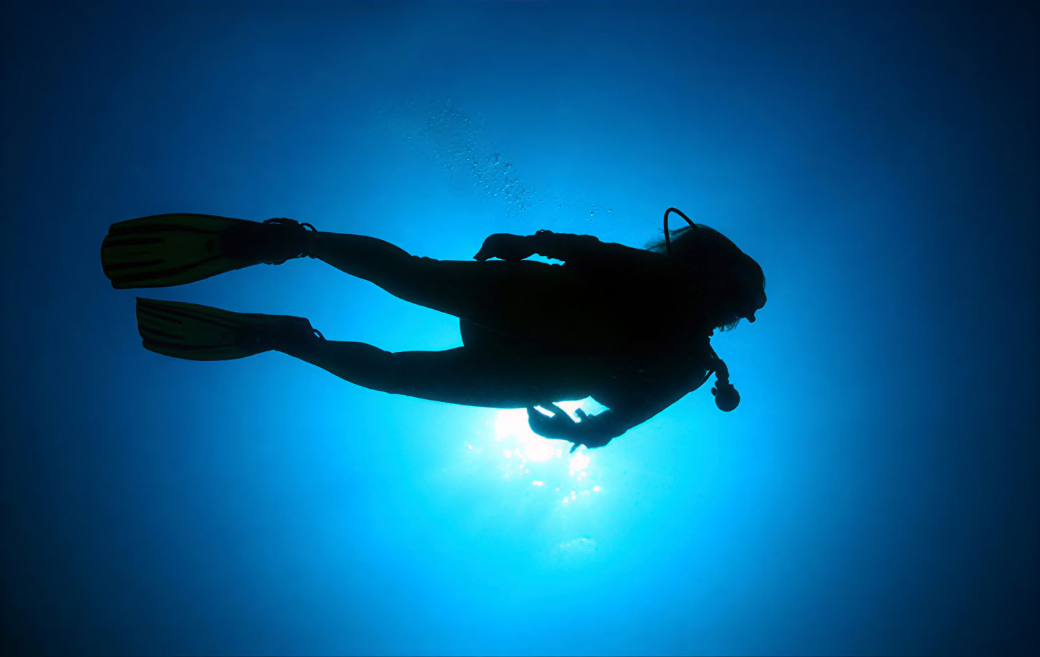 Specialty Diver