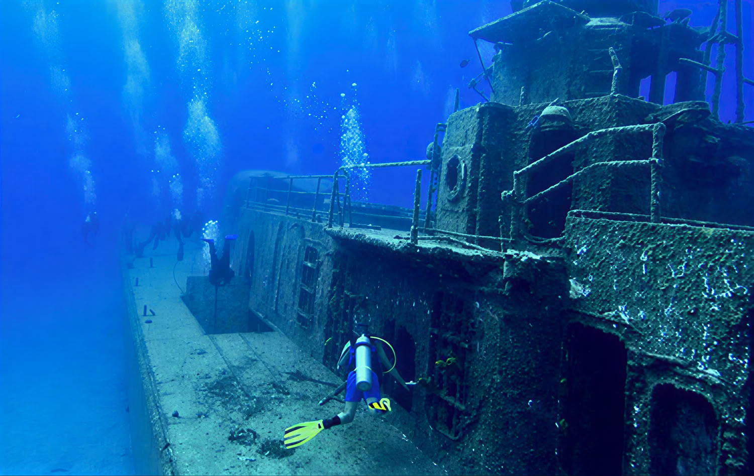 Specialty Diver