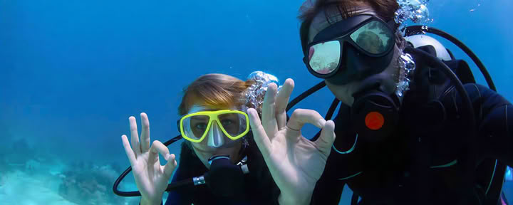 Specialty Diver