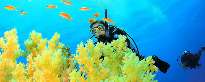 Master Diver
