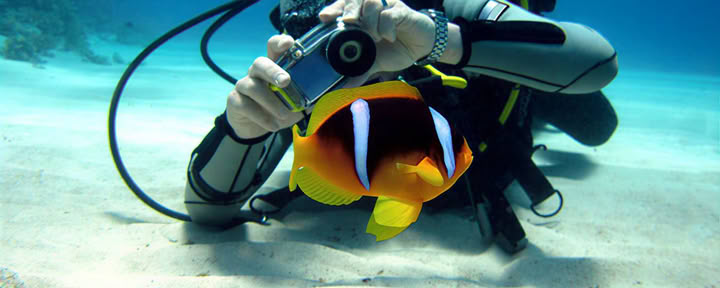 Underwater Photography – Point & Shoot
