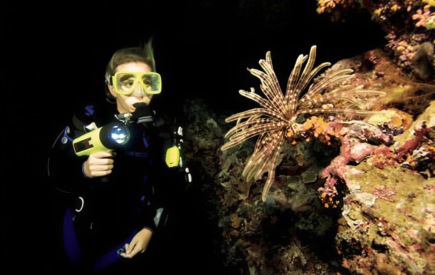 Night & Limited Visibility Diving Specialty