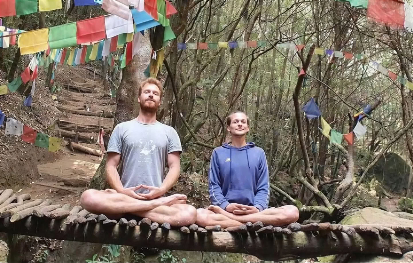 Professional Meditation Course