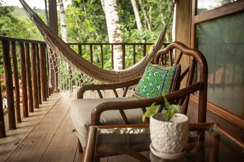 Non Beginner Ayahuasca Retreat