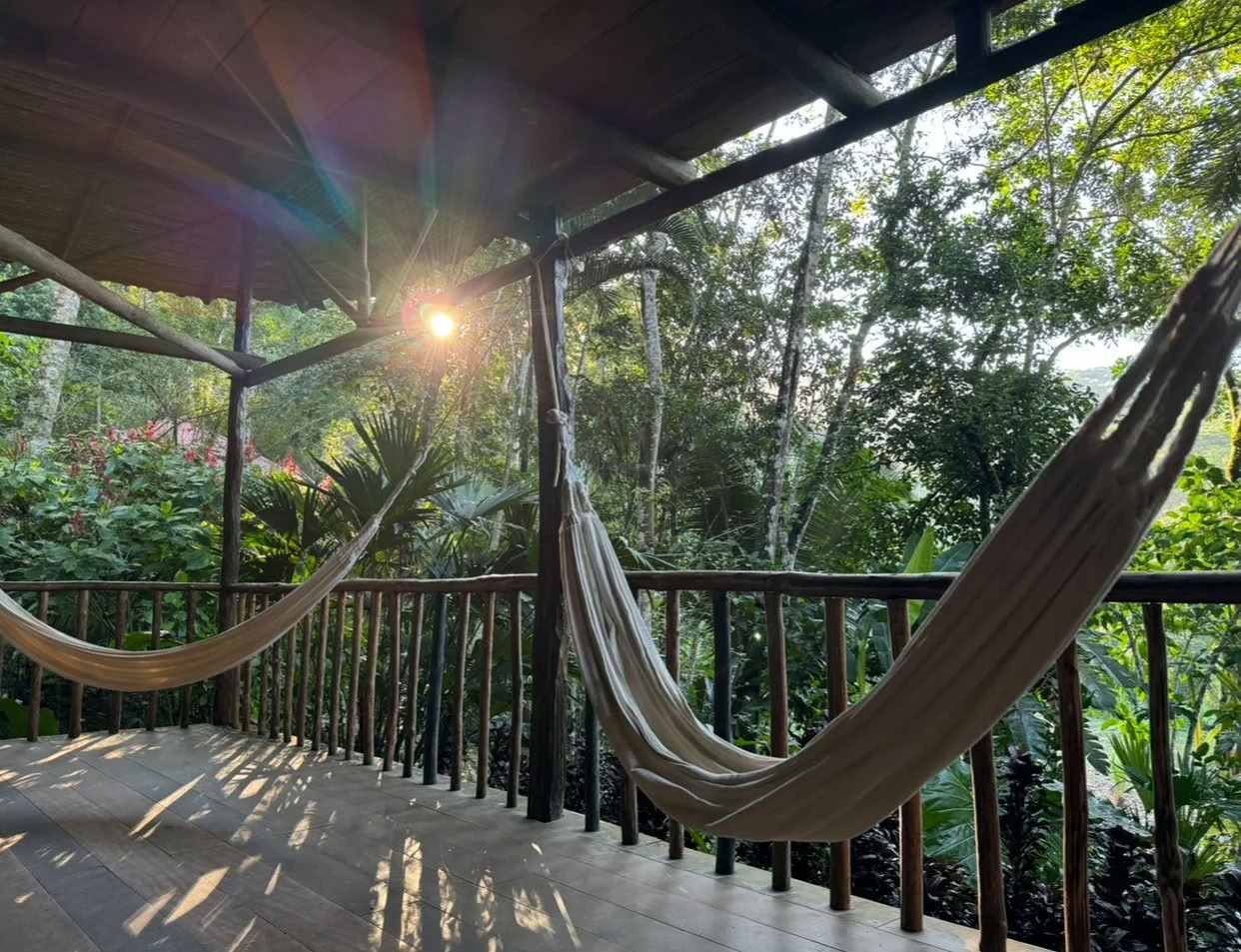 Non Beginner Ayahuasca Retreat