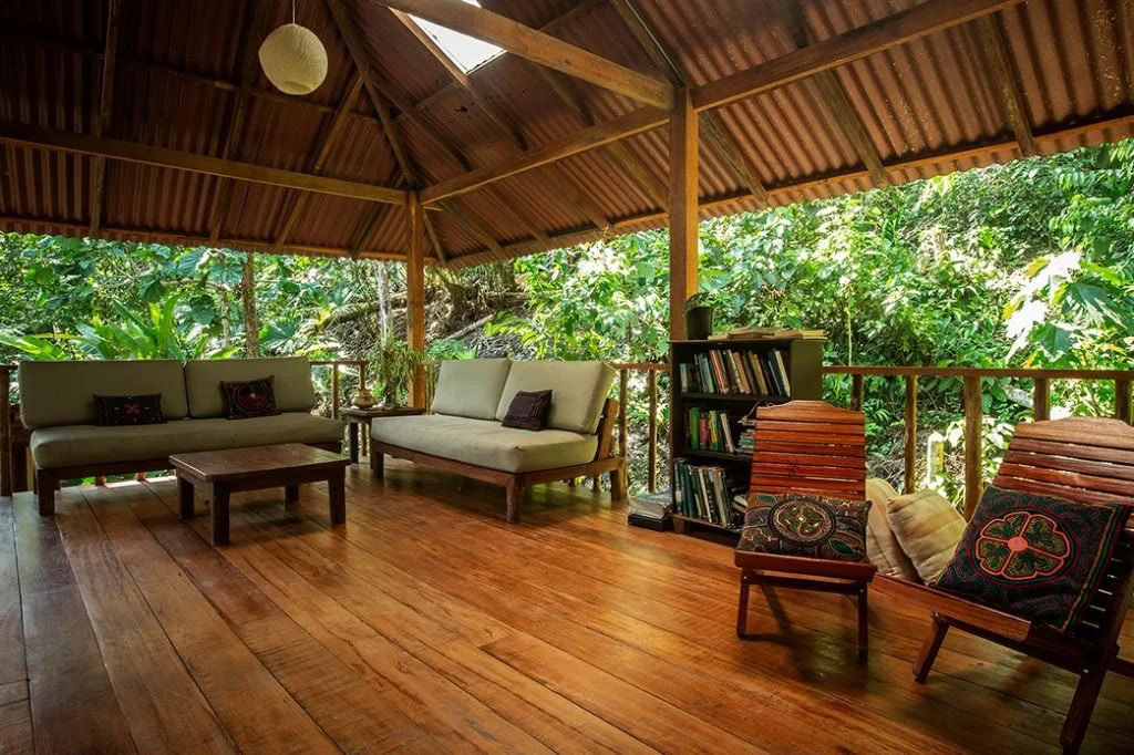 Non Beginner Ayahuasca Retreat
