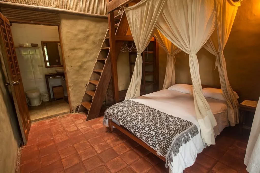 Non Beginner Ayahuasca Retreat