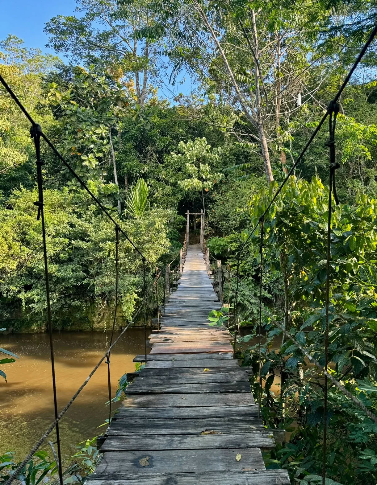 Non Beginner Ayahuasca Retreat