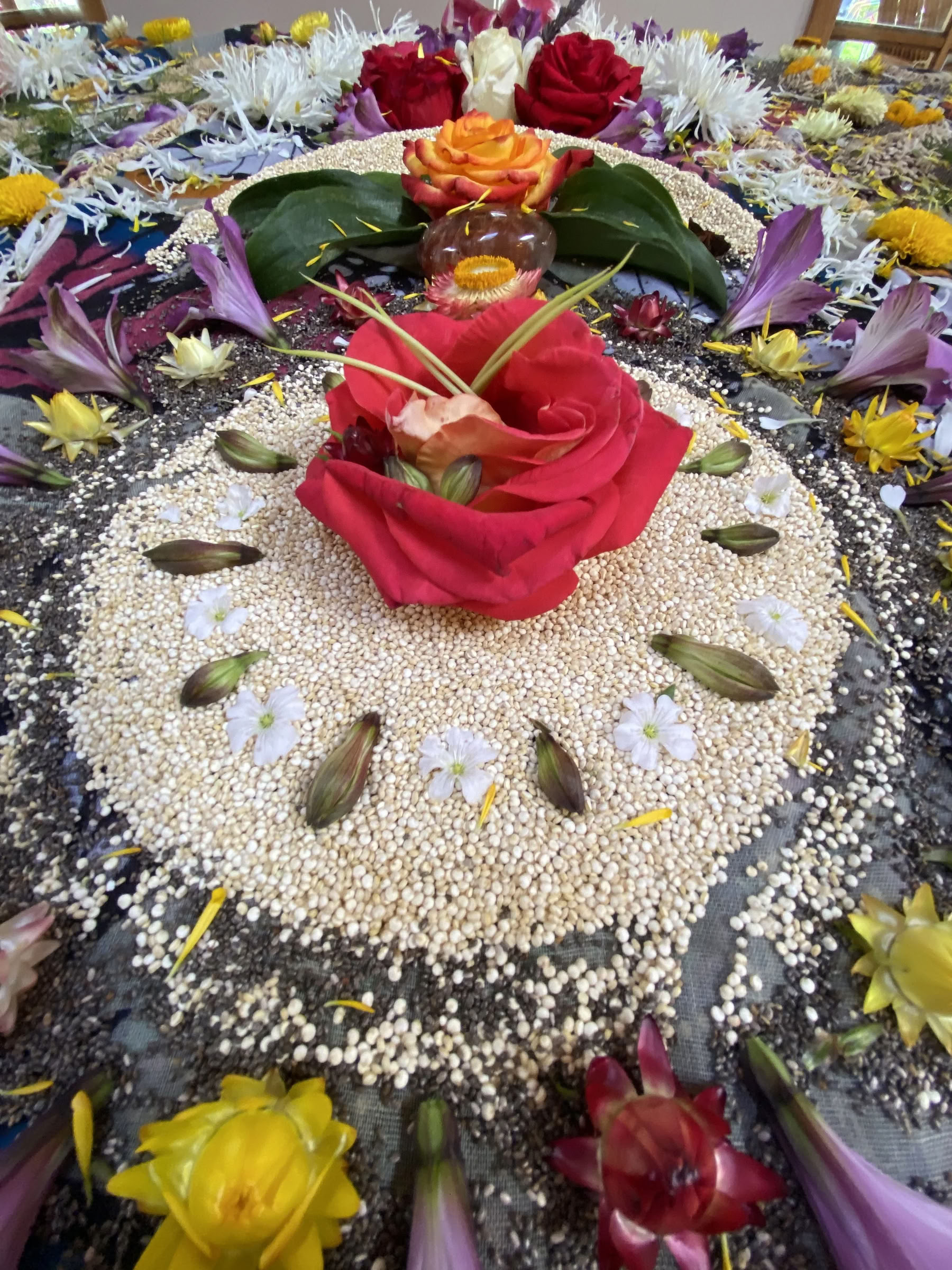 Non Beginner Ayahuasca Retreat