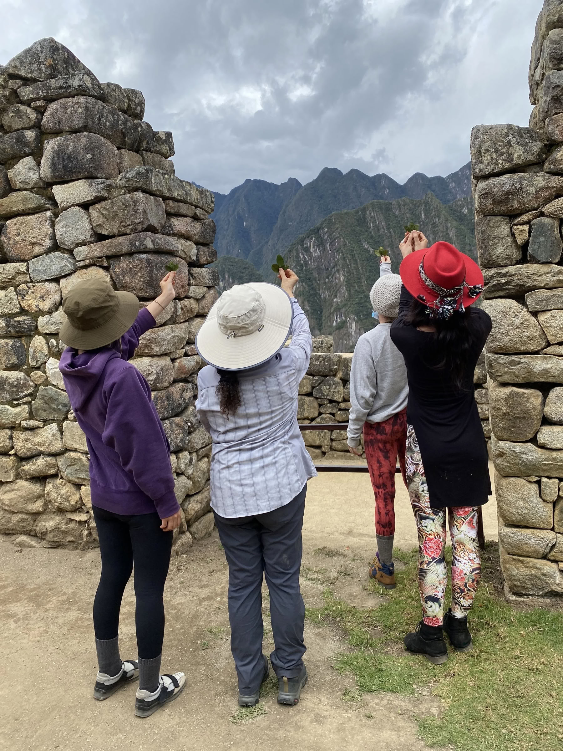 Non Beginner Ayahuasca Retreat